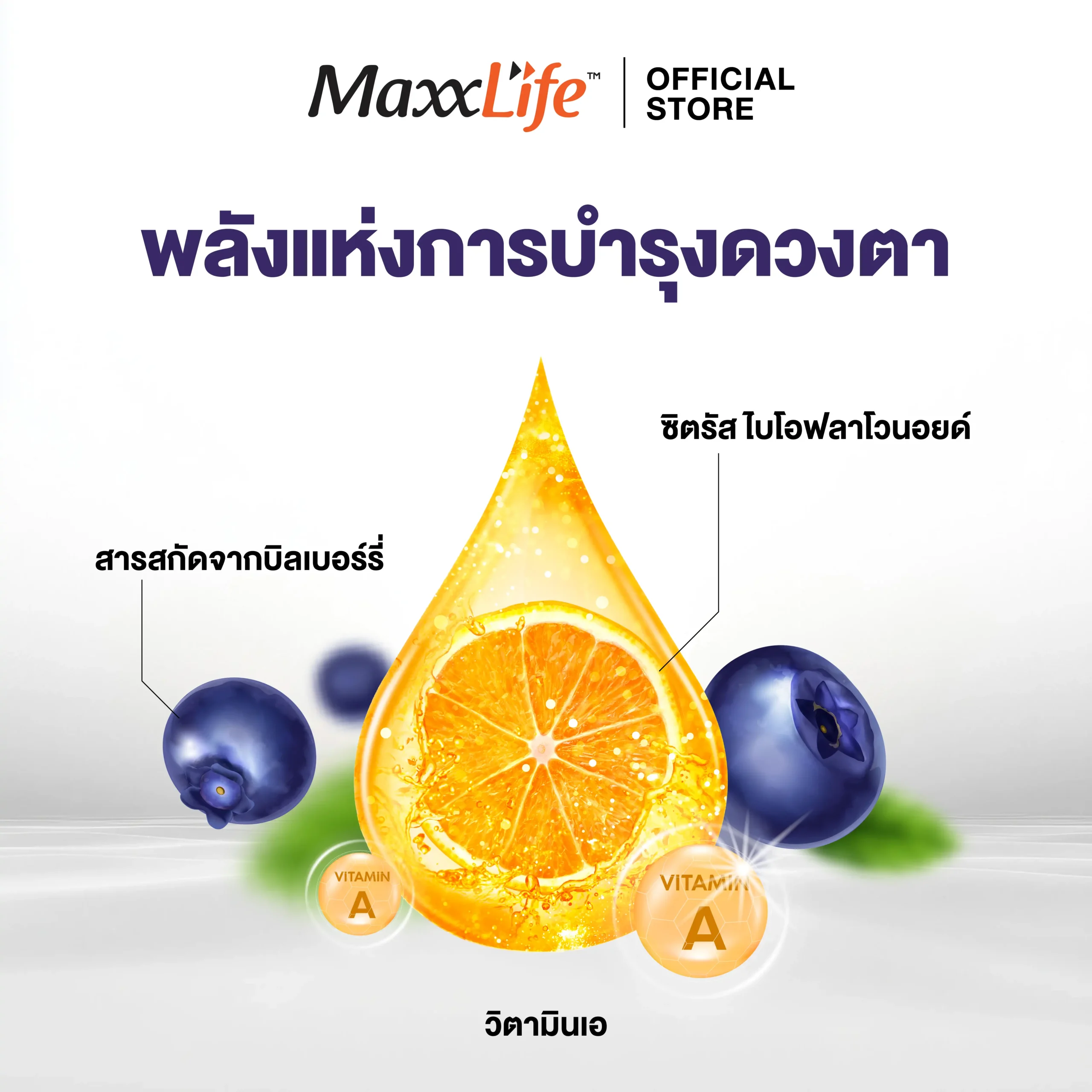 Bio Bilberry สารสกัดบิลเบอร์รี่เข้มข้น บำรุงดวงตา - MaxxLife