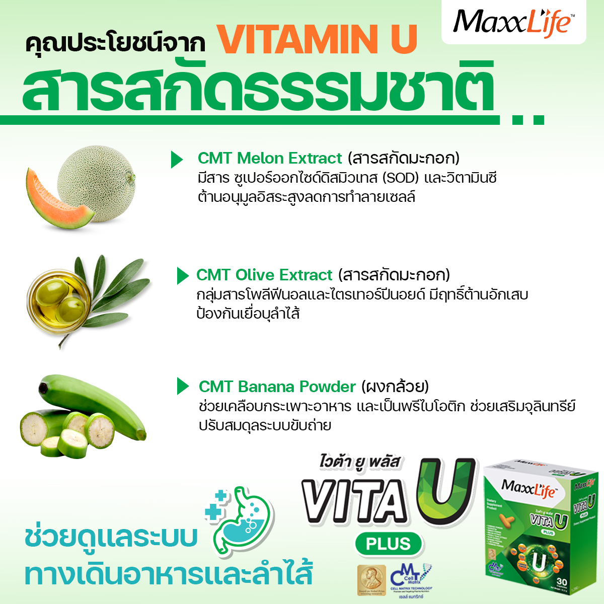 อาหารเสริม ช่วยโรคกระเพราะ กรดไหลย้อน ลำไส้อักเสบแปรปรวน - VitaU - Maxxlife