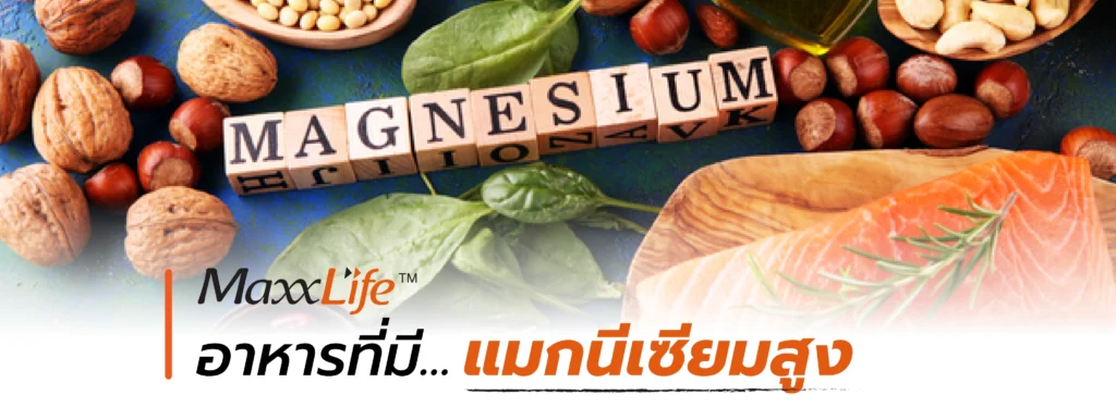 ประโยชน์ของแมกนีเซียม - Maxxlife
