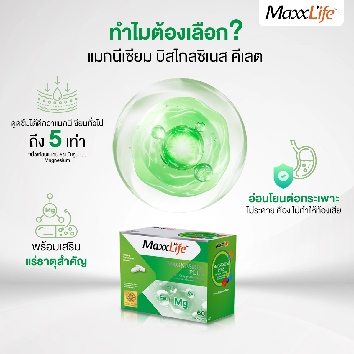แมกนีเซียม - Maxxlife
